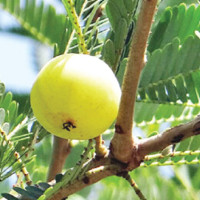 Learning By Doing: Effective Teaching Method