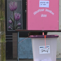 Two elephant calves flying to Qatar today