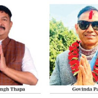 Ginger farmers elated as price goes up