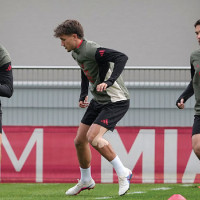 Ecological Significance  Of Modiaain