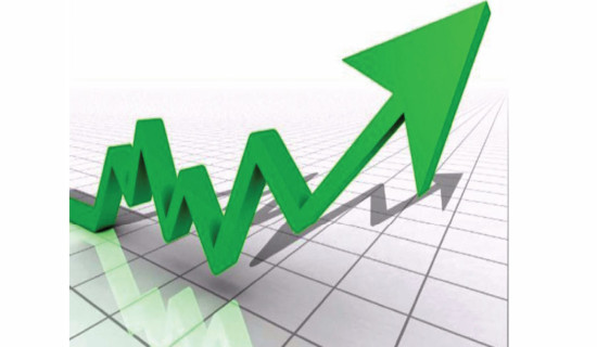 Ecological Significance  Of Modiaain