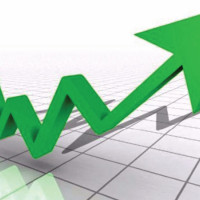 Protecting endangered cheer pheasant remains daunting task