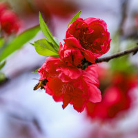 Stop Vilifying Political Actors