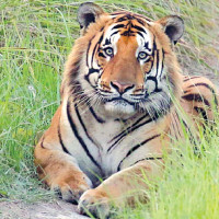 Karnali government dissolves Ministry of Internal Affairs