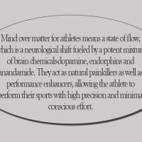 Oil price drops, stocks rise after Trump signals Iran war nearly over
