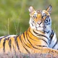 Additional reconstruction at Jajarkot earthquake-hit districts begins