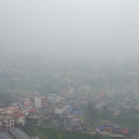 Contractor of Urlabari road honoured for timely work