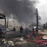 Himalayan Blue Sheep at Kanchenjunga trail