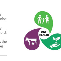 Economy is on path of recovery: DPM Paudel