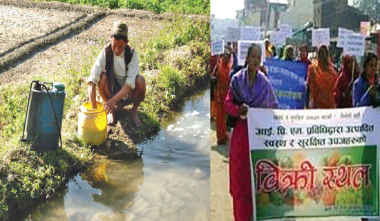 Promoting Safe And Sustainable Agriculture