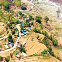 Remittance inflows rise to Rs. 1,261B in 7 months