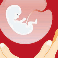 US Ambassador calls on Energy Minister Khadka