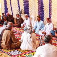 Plucking of first flush tea begins in Ilam