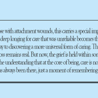 Expand Habitats  For Wild Cats