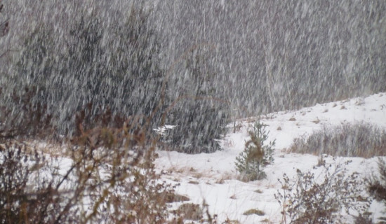 Moderate rain/snowfall likely in hilly and mountainous regions