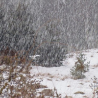 Sagarmatha Feats Put Nepal On Map