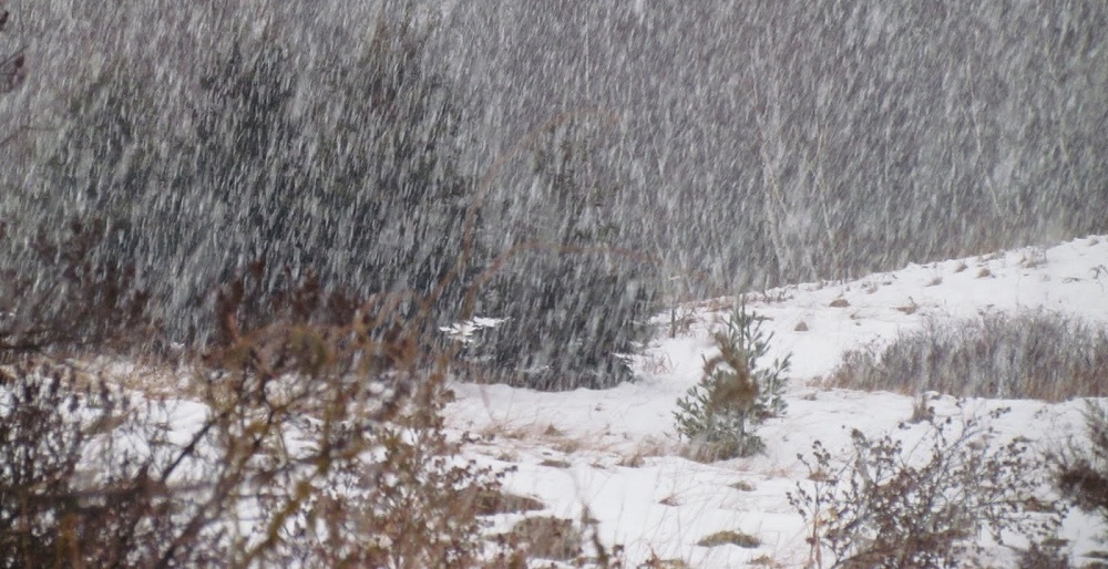 Moderate rain/snowfall likely in hilly and mountainous regions