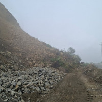 Experts on importance of trustworthy information in combating misinformation