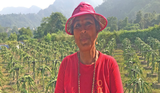From classroom to field: Former teacher earns Rs. 2M annually through commercial farming