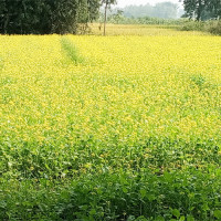 11 illegally operating private schools shut