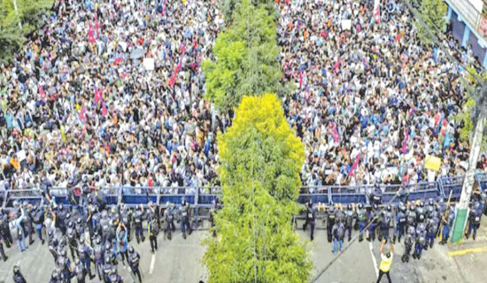 Bardiya tigers burning bright for tourists