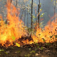 Health institutions in Baitadi have to travel 250 km to refill oxygen