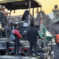 Paddy, rice import increases by 54%