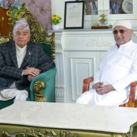 Splendor of Holi begins after installation of Chir in Basantapur