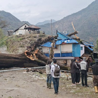 Meat, fish shops face shortage of buyers