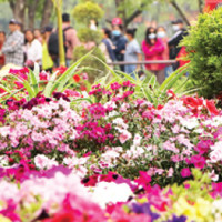 Foreign Minister Rana holds bilateral  meeting with Chinese counterpart Wang