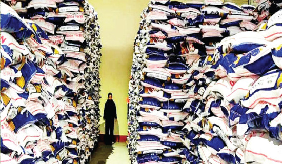 29,000 quintals of rice, paddy in stock at FMTC Nepalgunj