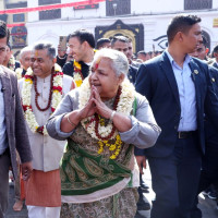 Captured tigers to be released to the wild