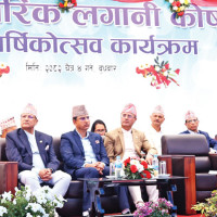 Festival-centric security plan comes into effect