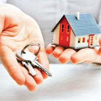 China's economy softens in August