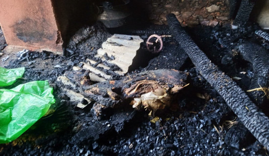 Fire breaks out in cattle shed killing livestock