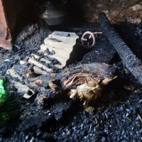 Cancer treatment centre to be built in Kohalpur