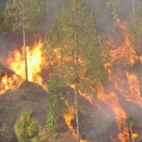 Chitwan faces severe blood crisis, Red Cross appeals for blood donation