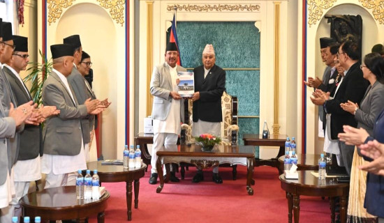 EC submits HoR election report to President