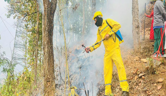 Fire control squad formed to tackle forest fires in Banke