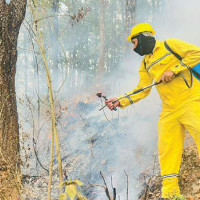 27th Floral Expo begins in Kathmandu