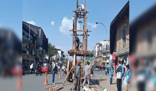 Work begins to build chariot of Seto Machhindranath