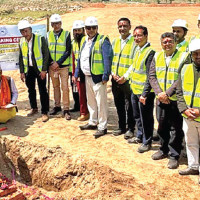 Mango farmers in Tarai-Madhes await rainfall