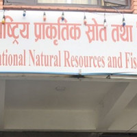 Foot trail ravage leaves rural residents in hardship