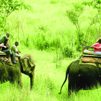 Nearly 10,000 thatched roofs replaced  with zinc sheets for safety  in Gulmi