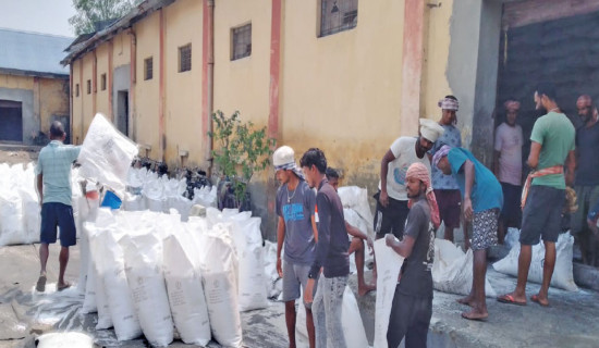 No fertiliser shortage in Koshi