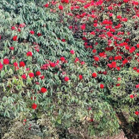 Bagmati CM to take vote of confidence on July 21