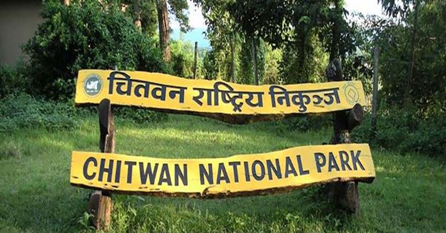 128 people arrested for illegal acts inside national park