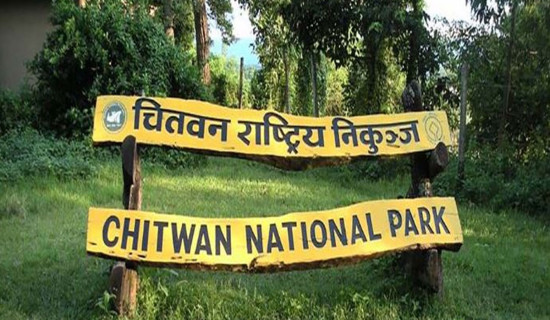 128 people arrested for illegal acts inside national park