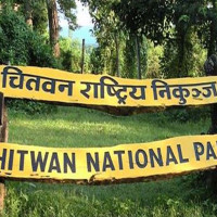 Indra Jatra formally begins (Photo Feature)