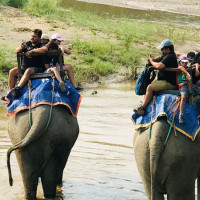 KMC urges citizens for preventive measures against dengue